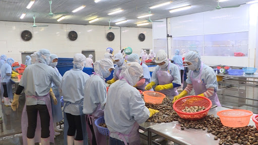 Cẩn tuyển nông nghiệp nữ đến 40 tuổi 3 năm lương 40tr đi tuyển XKLD Nhật mới Sàn Xuất khẩu lao động 16